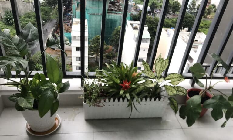 Căn hộ Vista Verde cho thuê 1 phòng ngủ lầu cao nội thất đẹp view mát mẻ