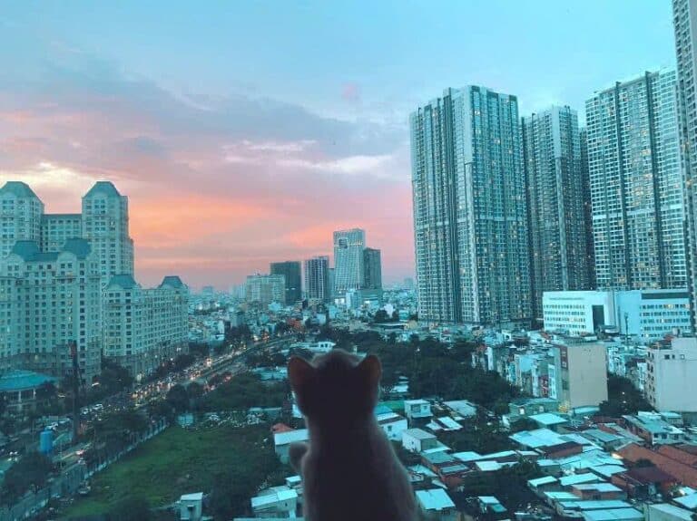 Căn hộ cho thuê Saigon Pearl lầu cao nội thất cao cấp view L81 2 phòng ngủ