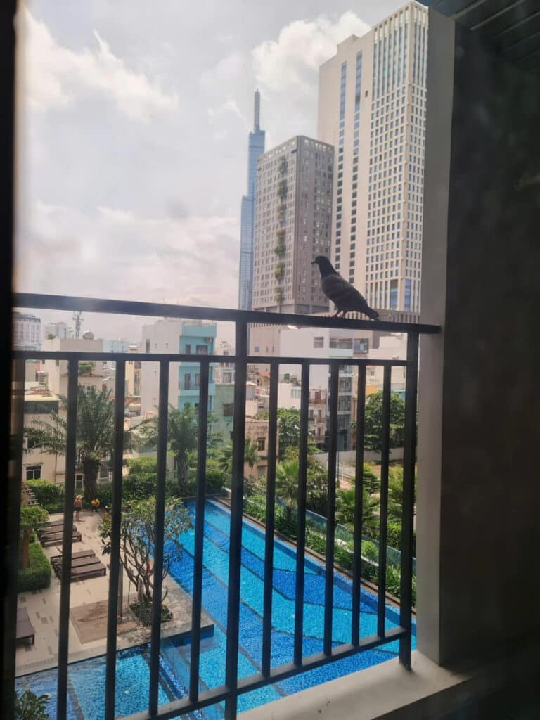 Căn hộ cho thuê Wilton Tower view hồ bơi nội thất đầy đủ 1 phòng ngủ