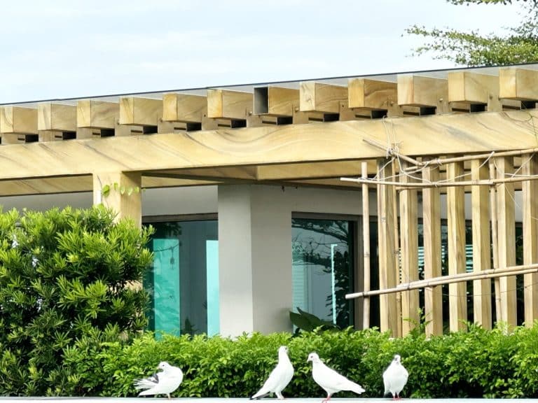 Căn hộ penhouse The Vista cho thuê nội thất xịn view thoáng 5 phòng ngủ