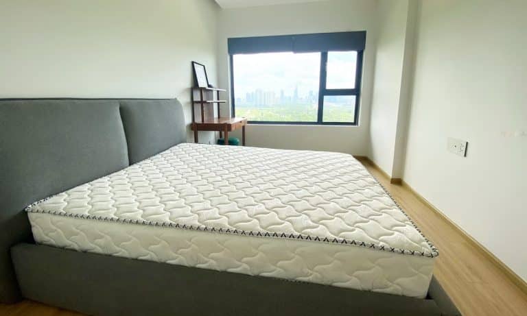 Cho thuê căn hộ New City Thủ Thiêm 2 phòng ngủ nội thất đầy đủ view q1