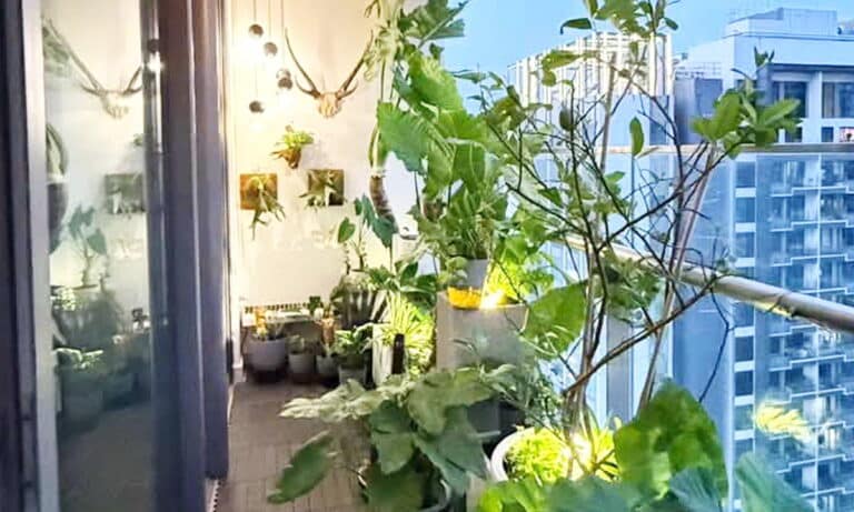 Gateway Thảo Điền cho thuê căn hộ 2 phòng view sông lầu cao nội thất xịn