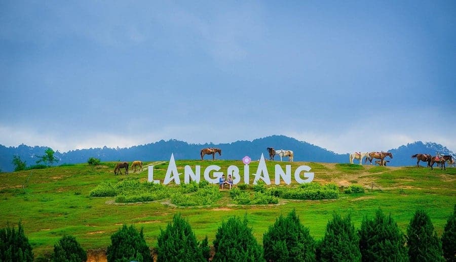 Đà Lạt cách Sài Gòn bao nhiêu km? Lộ trình và kinh nghiệm di chuyển